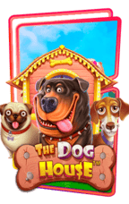 slot the dog house